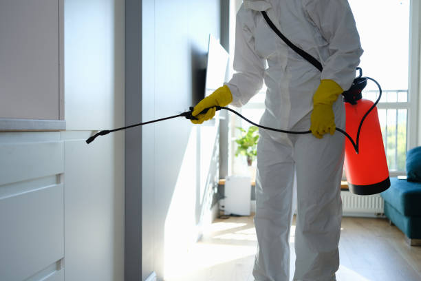 Best Toxic Mold Removal  in Mesquite, TX