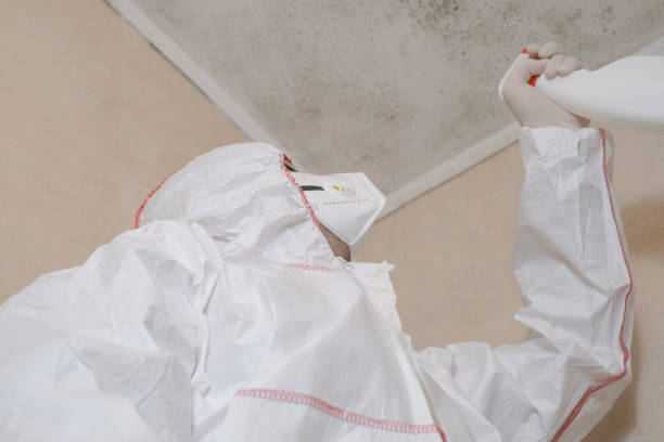 Best Home Mold Removal  in Mesquite, TX