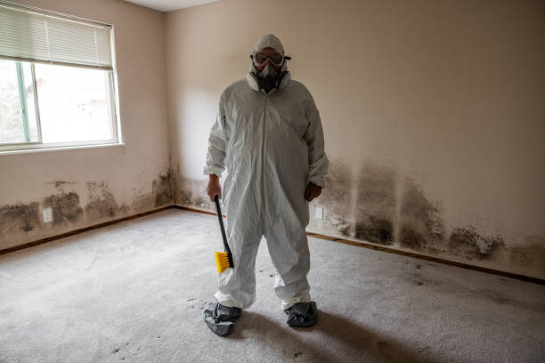 Best Home Mold Removal  in Mesquite, TX